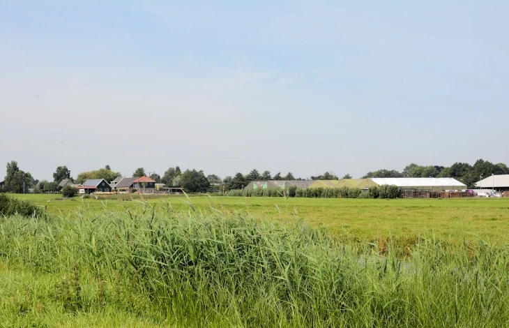 ‘Polenhotel’ voor 500 arbeidsmigranten in polder afgeblazen: buurt is blij, maar kwekers niet