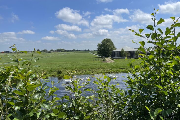 RC Ruimtelijk en Economisch Domein