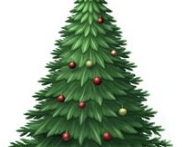 Wij wensen u fijne feestdagen