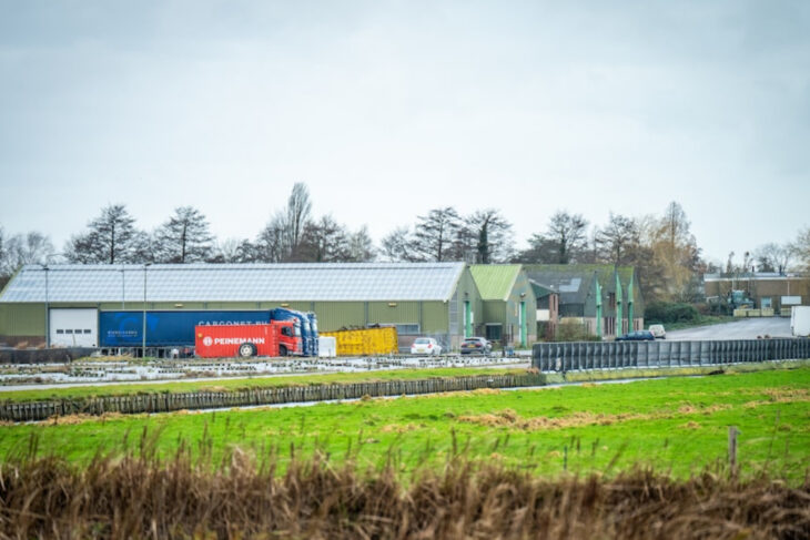 Alphen ‘ziet kansen’ voor vroegere Boskoopse veiling: geen arbeiders of bedrijf, ruim baan voor weidevogels